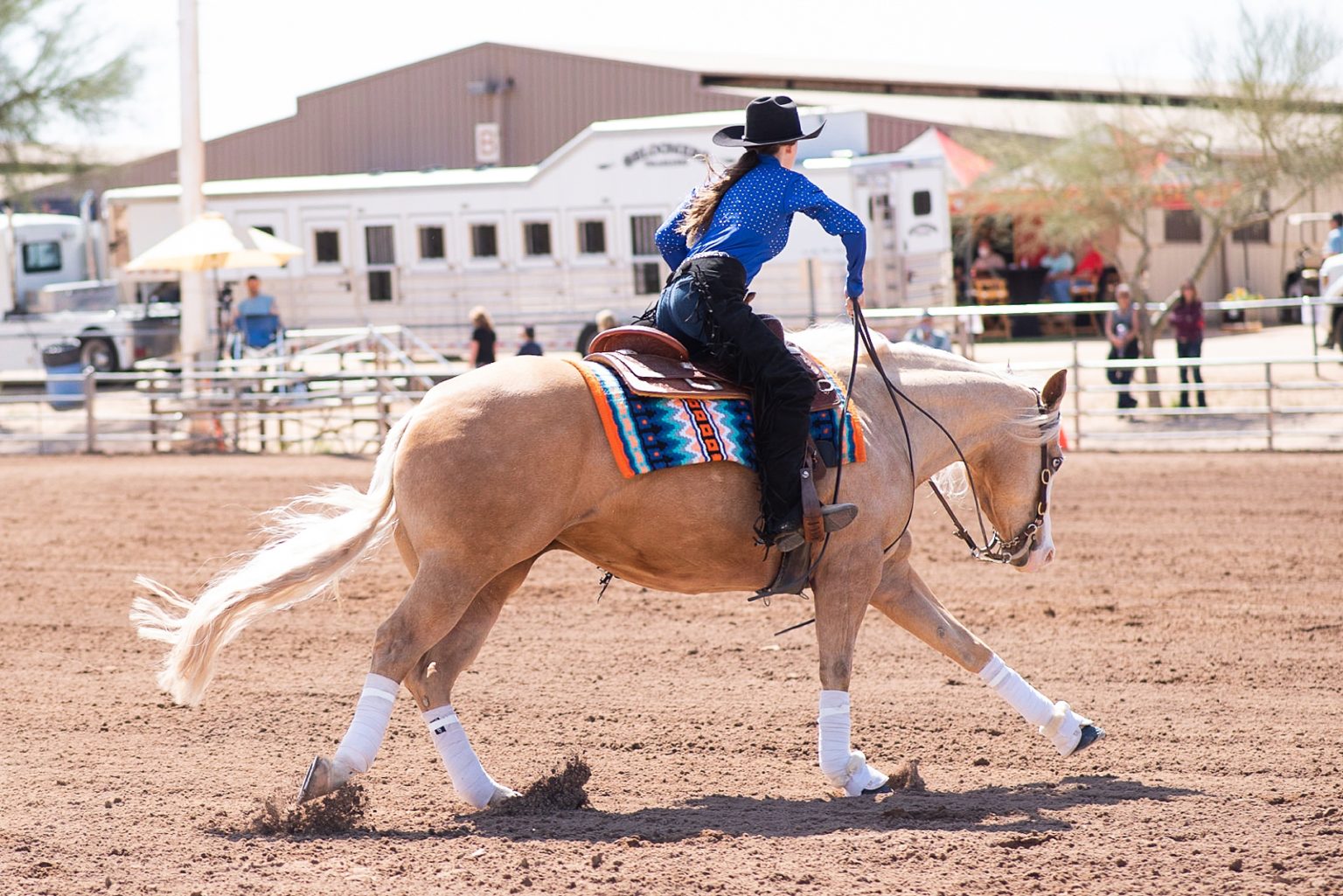 Cactus Reining Classic