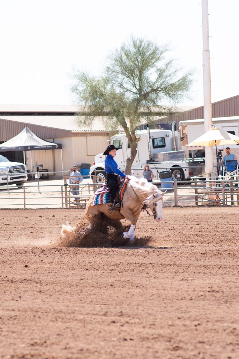 Cactus Reining Classic