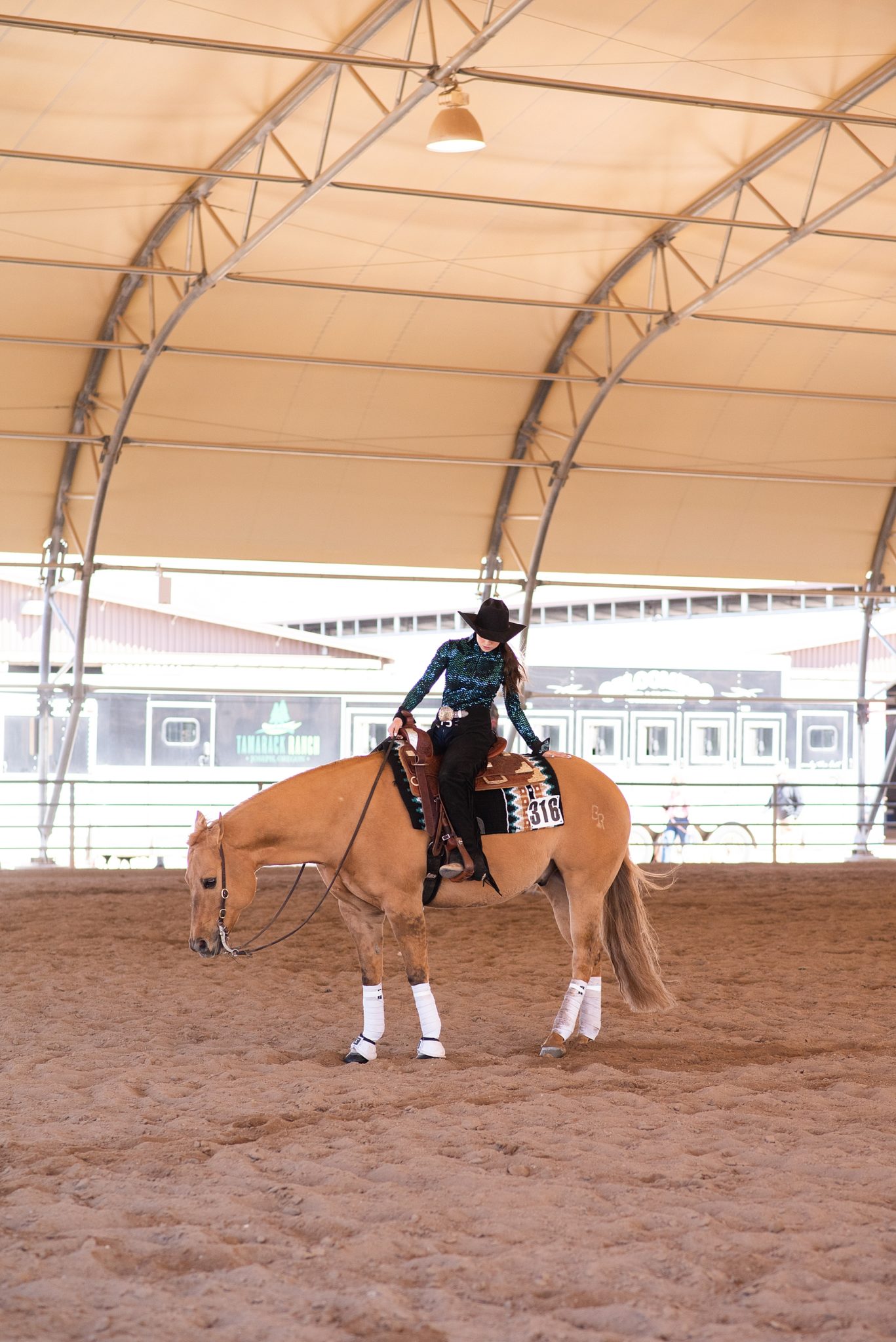 Cactus Reining Classic